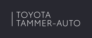 
												Toyota Tammer Auto